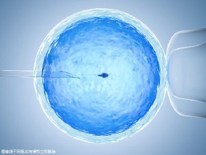 胚胎培养室